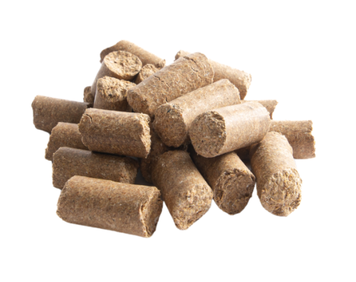 Friandises Frenzy Shop