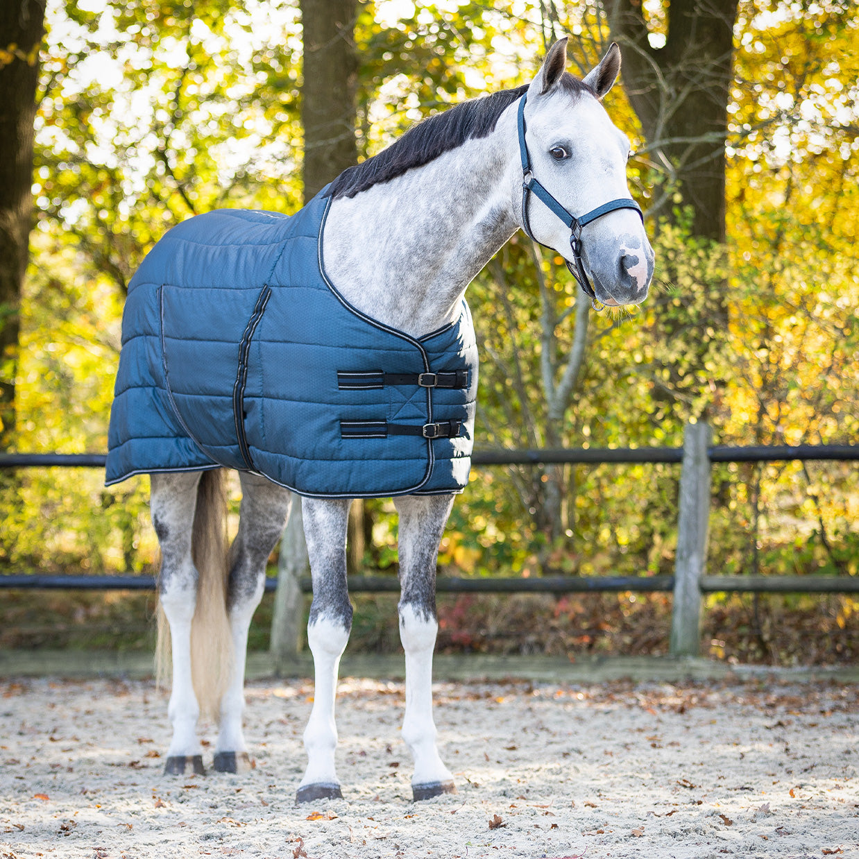 Couverture d'écurie QHP start collection 200gr