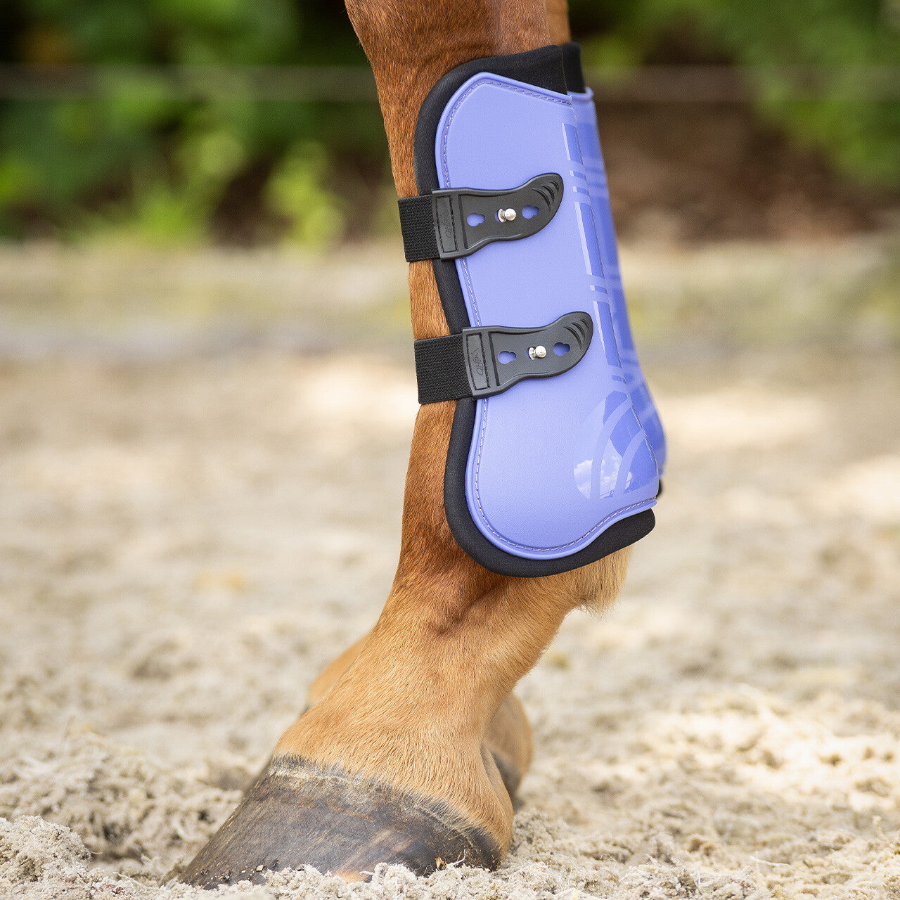 QHP Ensemble Guêtres Et Protège-Boulets Pour Cheval - Protection Sportive Tendons