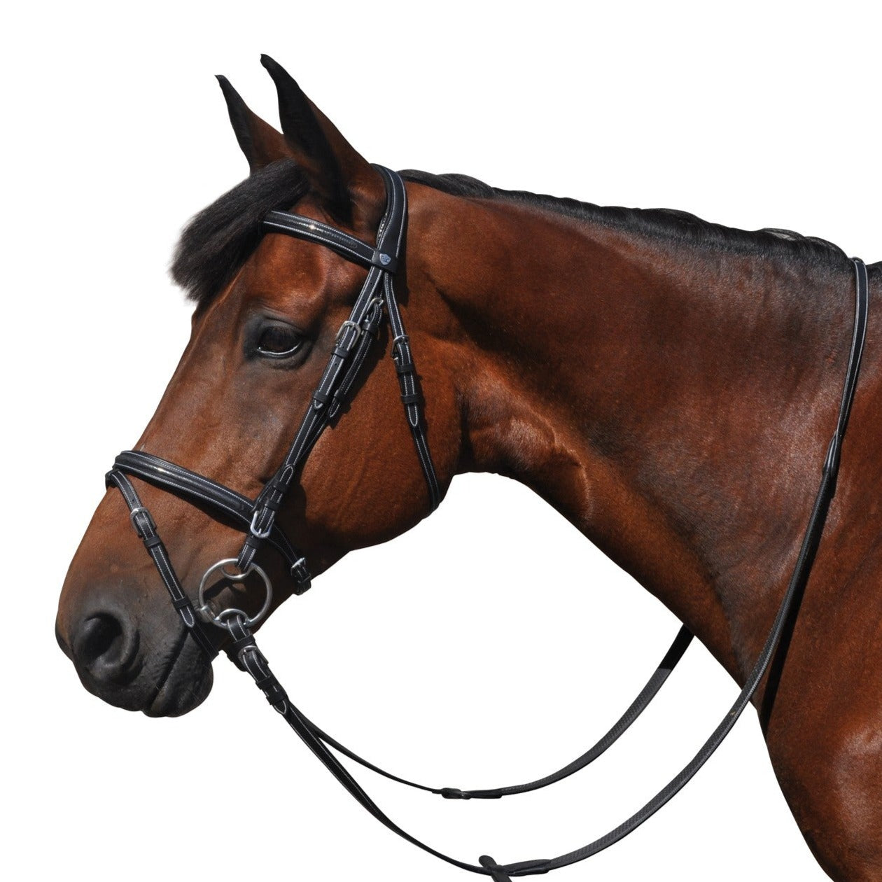 Collier de chasse et bridon pour poneys et chevaux Flags&Cup Helsinki noir