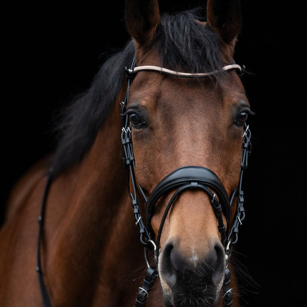 Licou Anatomique En Cuir MIRZA, Noir Ou Havane, Poney/shettland