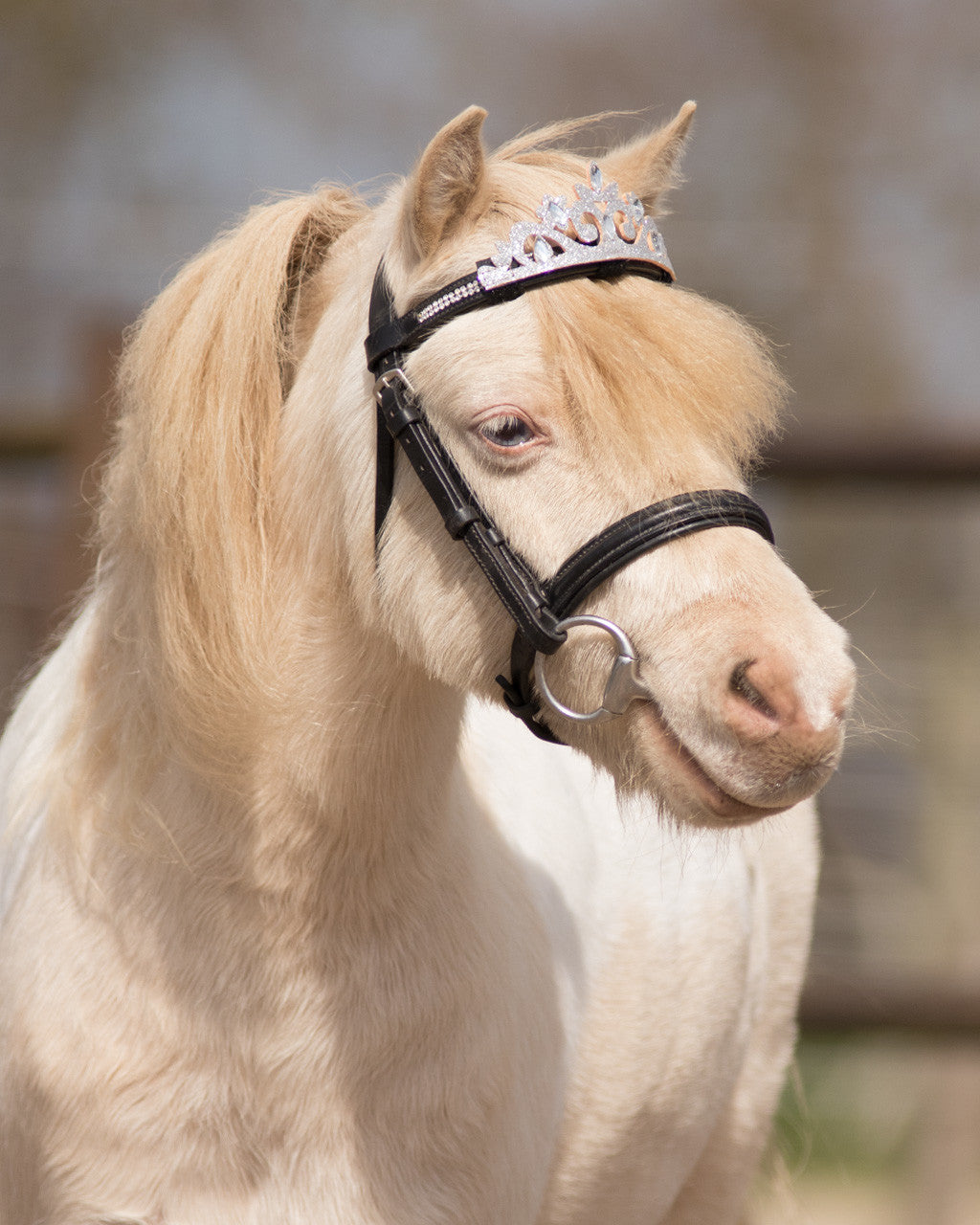 Couronne QHP pour bridon