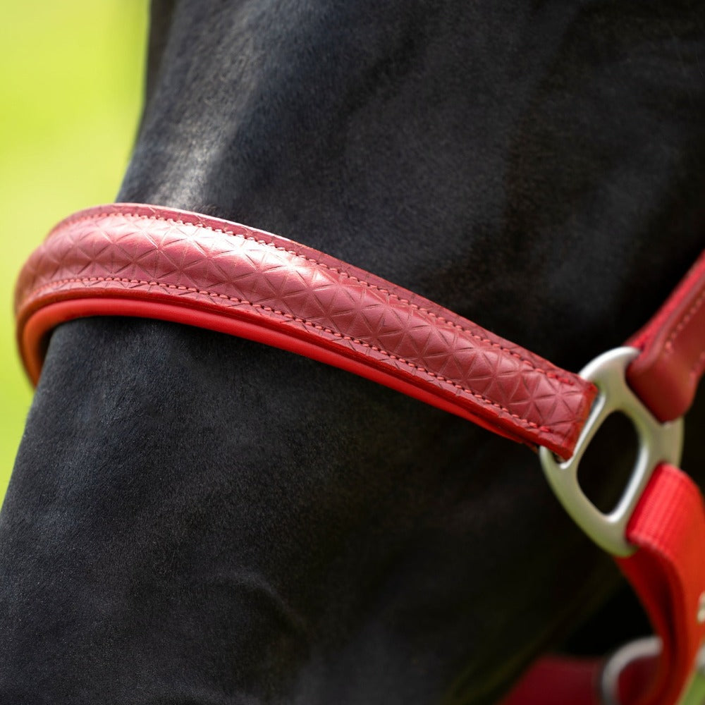 Licol nylon et cuir pour poneys et chevaux HKM Aruba rouge