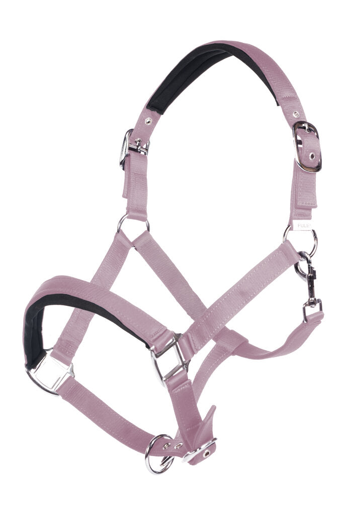 Licol pour poneys et chevaux HKM Catherine mauve