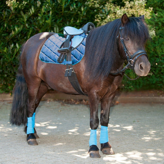 Kit bardette, sangle, étrivières, étriers et tapis de selle HKM Shetty bleu
