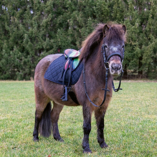 Bardette synthétique pour shetland HKM Colors