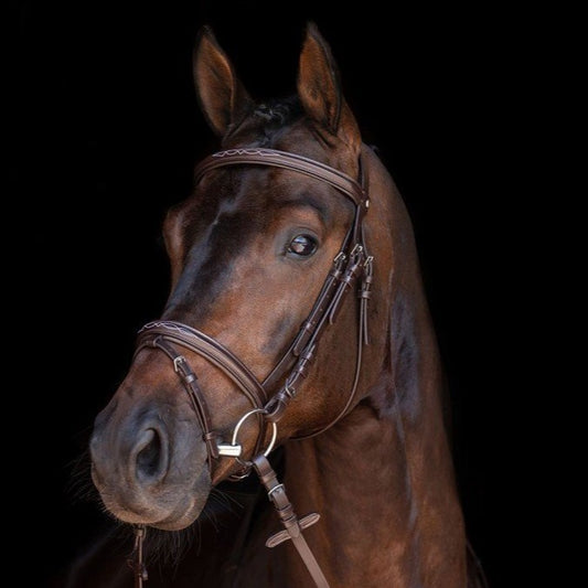 Bridon avec rênes pour shetlands, poneys et chevaux HKM Jana marron porté