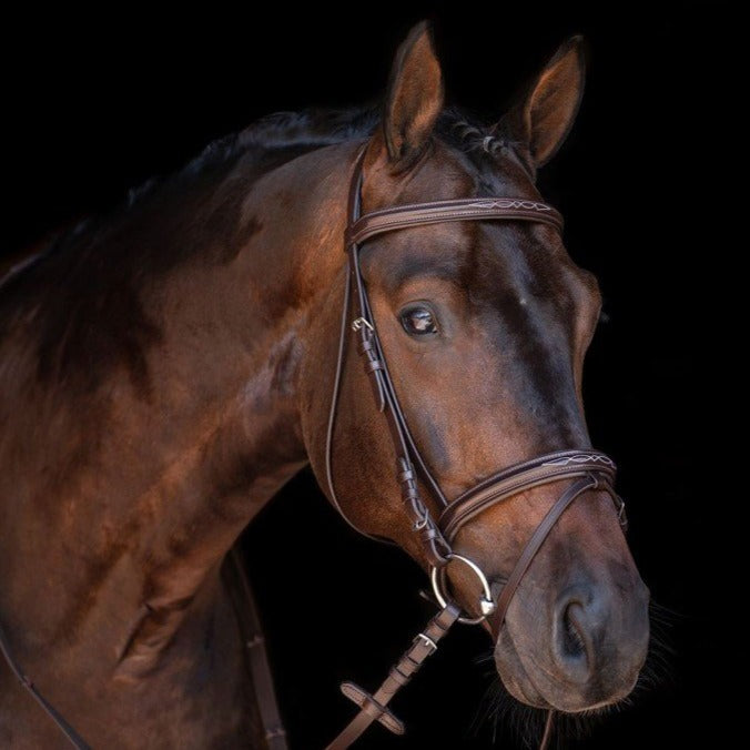 Bridon avec rênes pour shetlands, poneys et chevaux HKM Jana marron porté