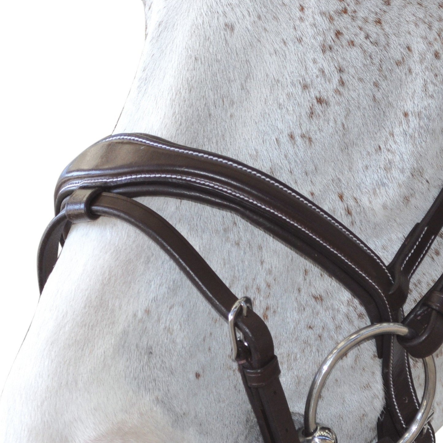 Bridon en cuir avec muserolle combinée pour poneys et chevaux Canter Ornella marron détail muserolle