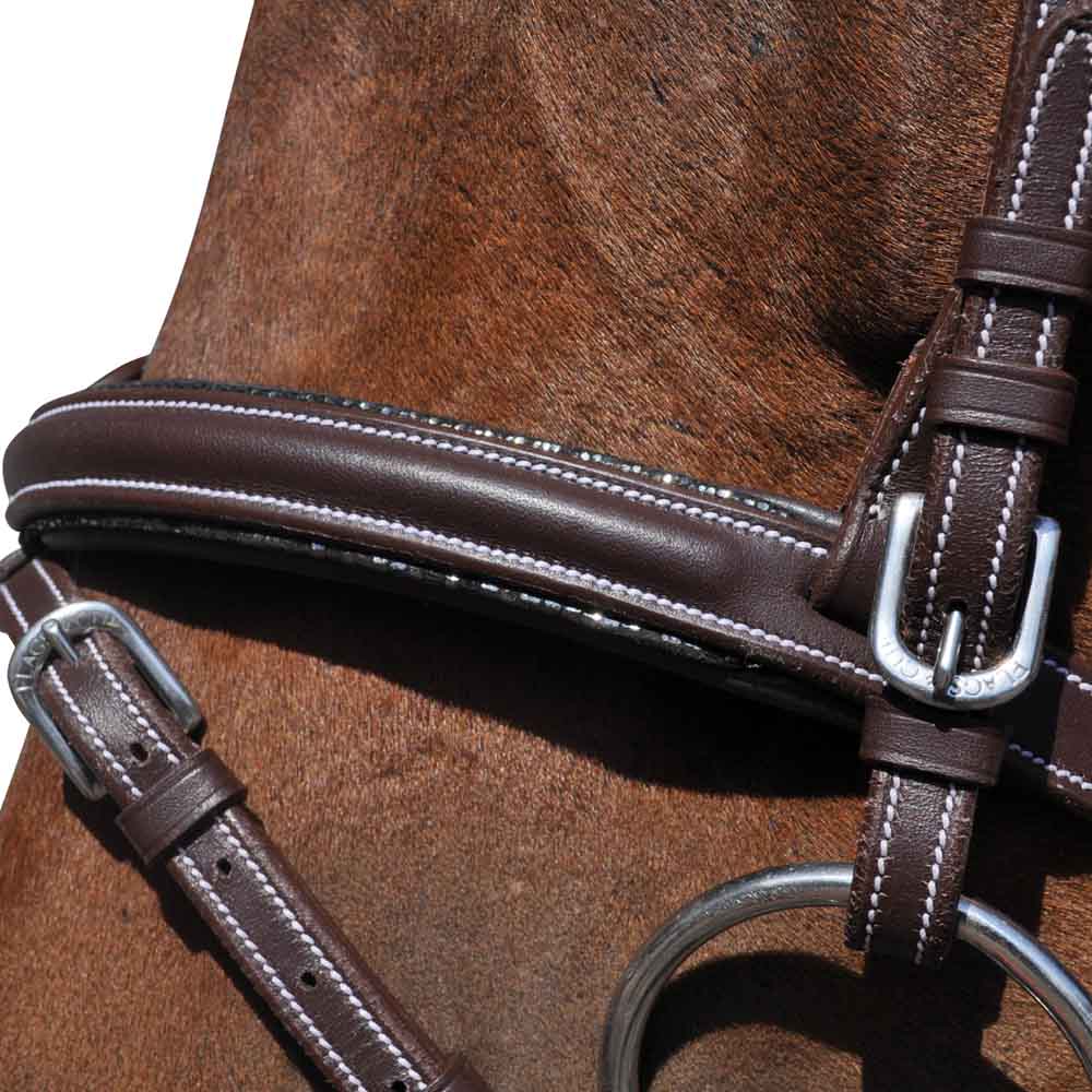 Bridon pour poneys et chevaux Flags&Cup Doha marron détail