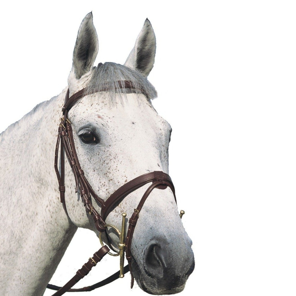 Bridon en cuir pour shetlands, poneys et chevaux Chetak Plat Doublé marron