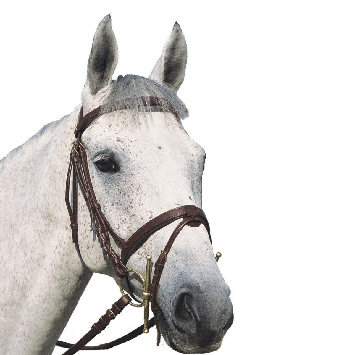 Etrivières en cuir lisse Canter pour shetlands, poneys et chevaux – En  Selle Prunelle