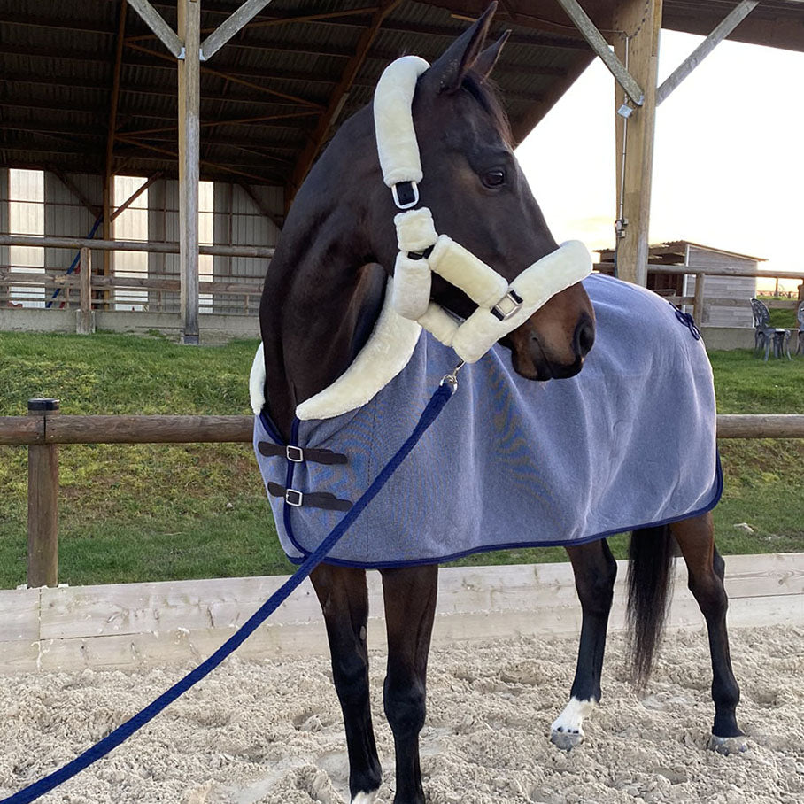 Chemise d'équitation extérieur Canter | La sellerie de Maé