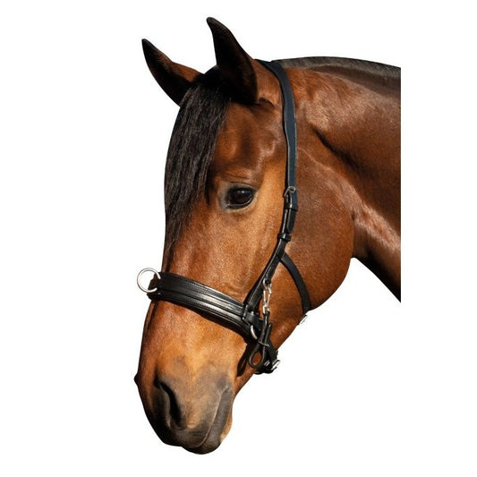 Filet caveçon pour poneys et chevaux HKM Comfort noir