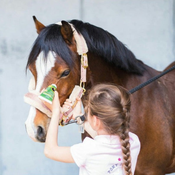 Gel anti-mouches Ravene Emouchine Protec tube avec embout mousse