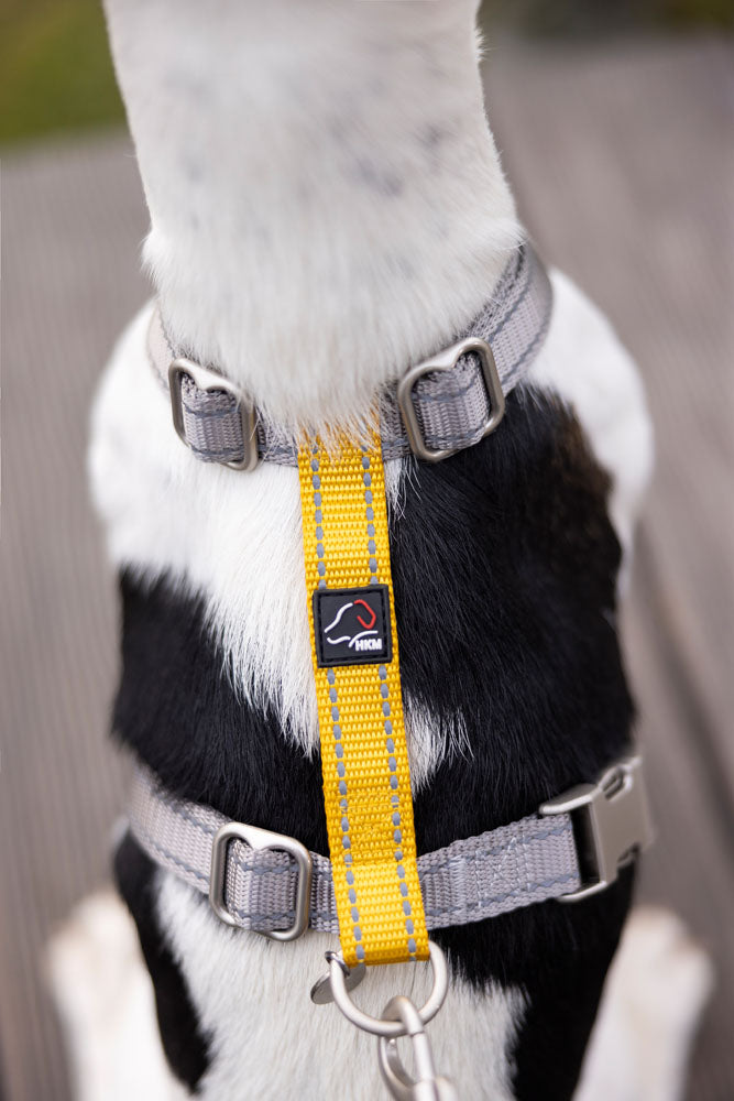Harnais pour chien HKM Anam Cara