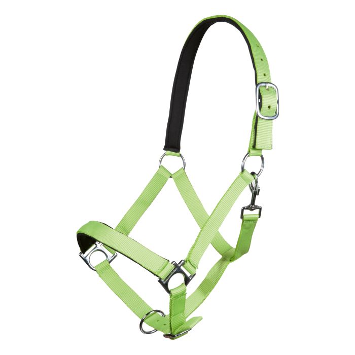 Licol pour shetlands, poneys et chevaux HKM Stars Soft vert fluo