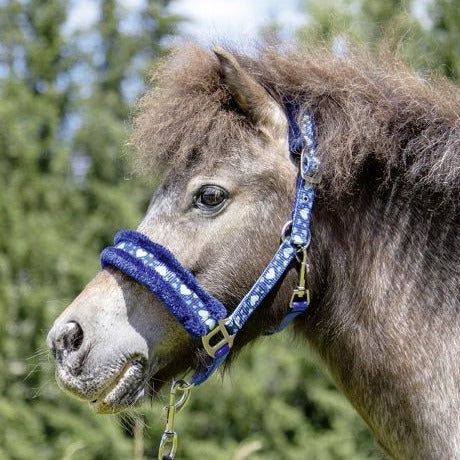 Licol pour mini shetlands, shetlands et poneys HKM Heart bleu