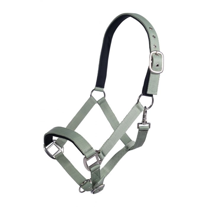 Licol pour poneys et chevaux avec velcro de sécurité HKM Breakaway vert
