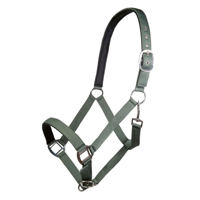 Licol pour poneys et chevaux HKM Charming vert fumé
