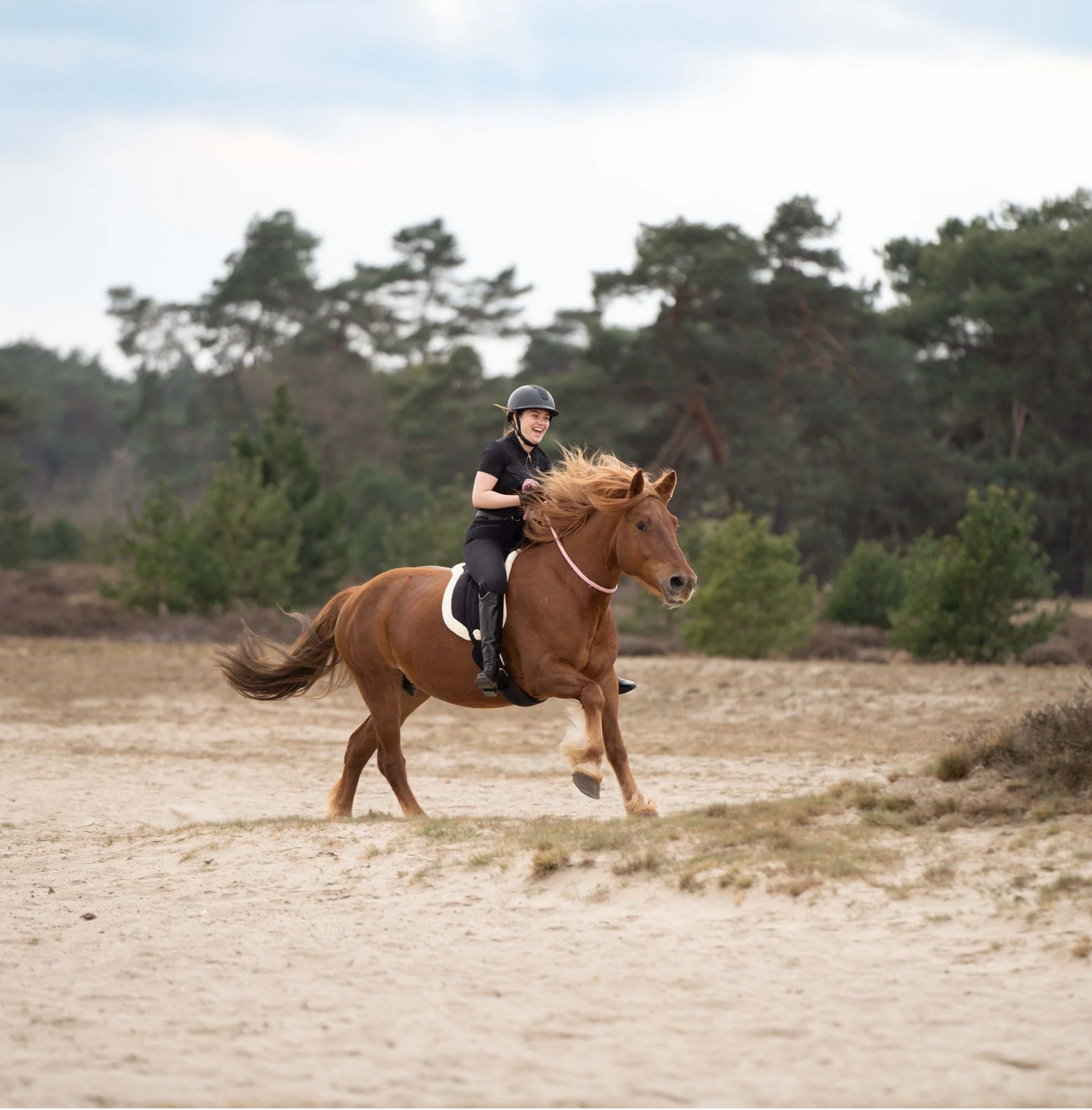 L'équitation naturelle