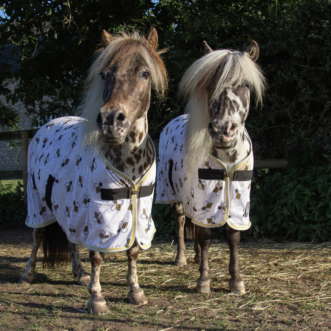 Ensemble d'attaches miniatures pour enfants poney selle cuir brut Ensemble d'attaches miniatures pour enfants poney selle cuir brut