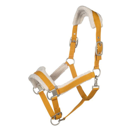 Licol HKM Arezzo
