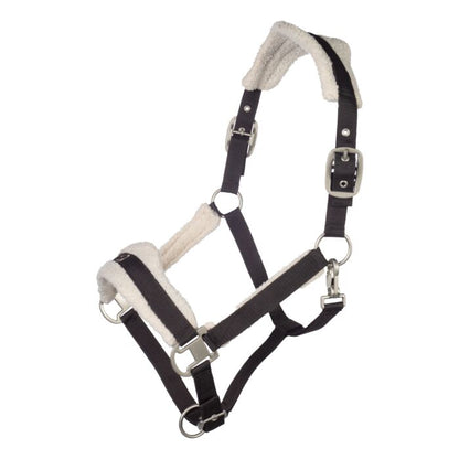 Licol HKM Arezzo