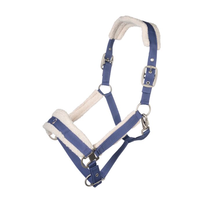 Licol HKM Arezzo