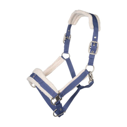 Licol HKM Arezzo