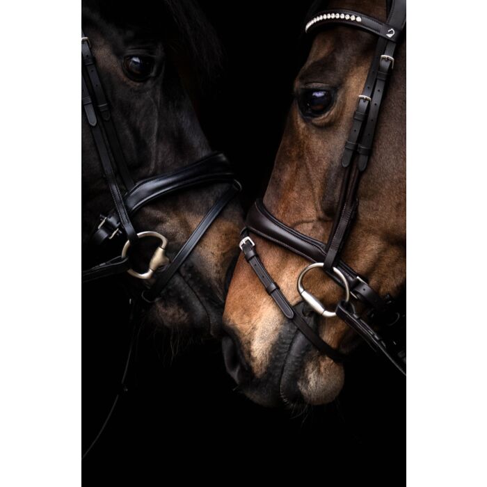 Bridon HKM Arezzo