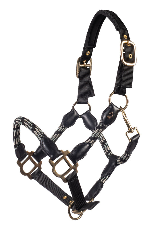 Licol HKM Limone Sportive