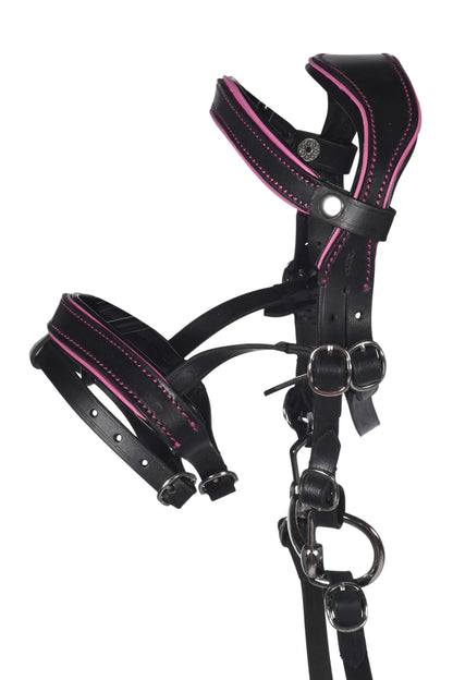 Bridon cuir Manchester HKM Hobby Horsing
