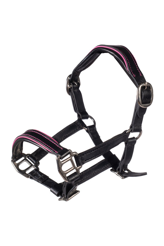 Licol en cuir Manchester HKM Hobby Horsing