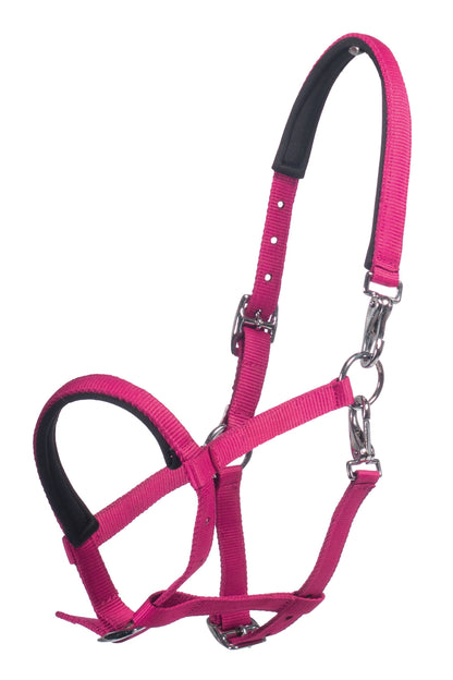 Licol poulain HKM Millie