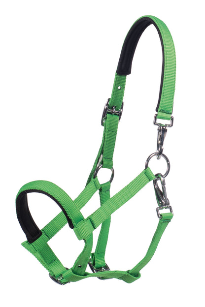 Licol poulain HKM Millie