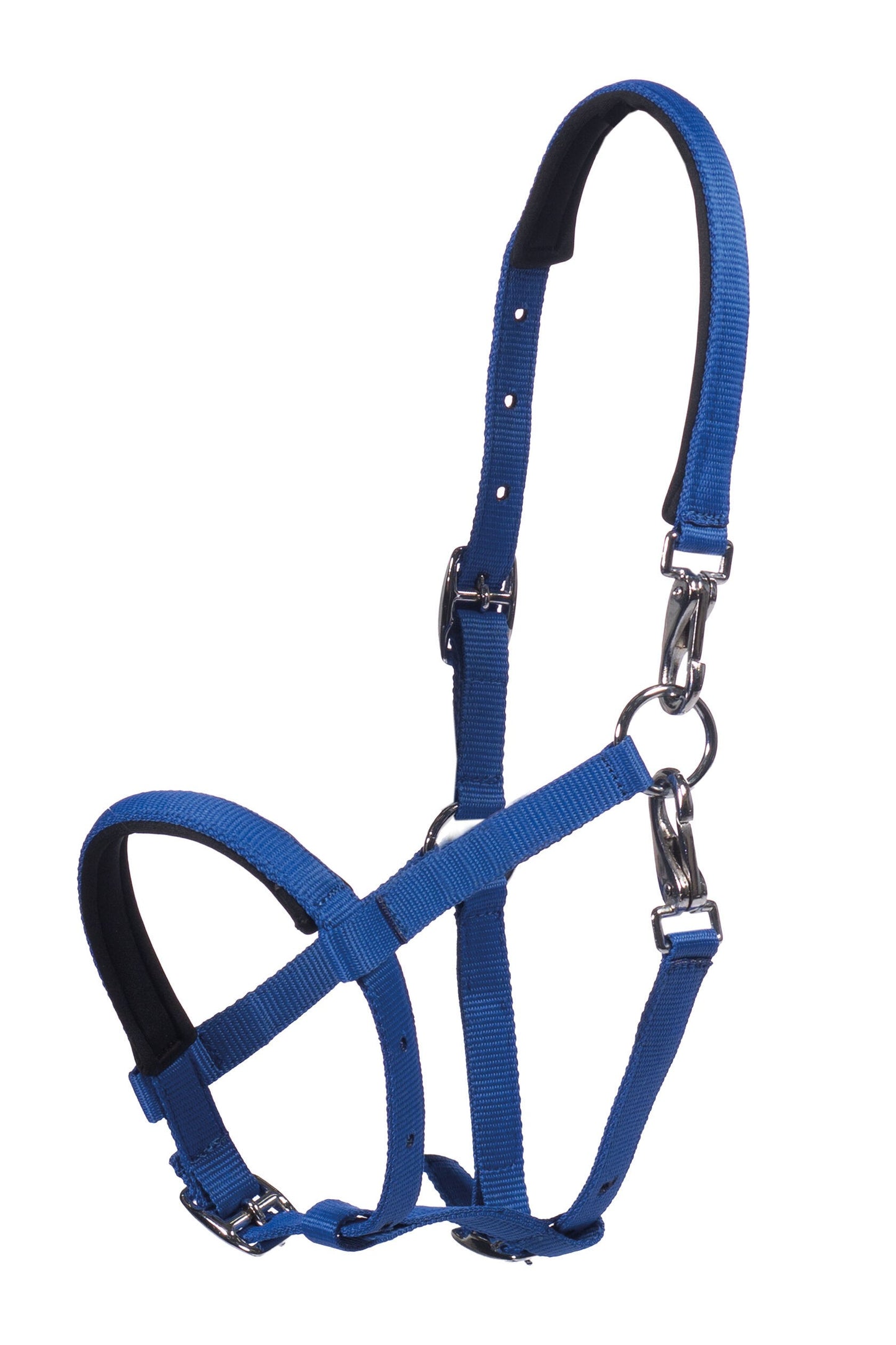 Licol poulain HKM Millie