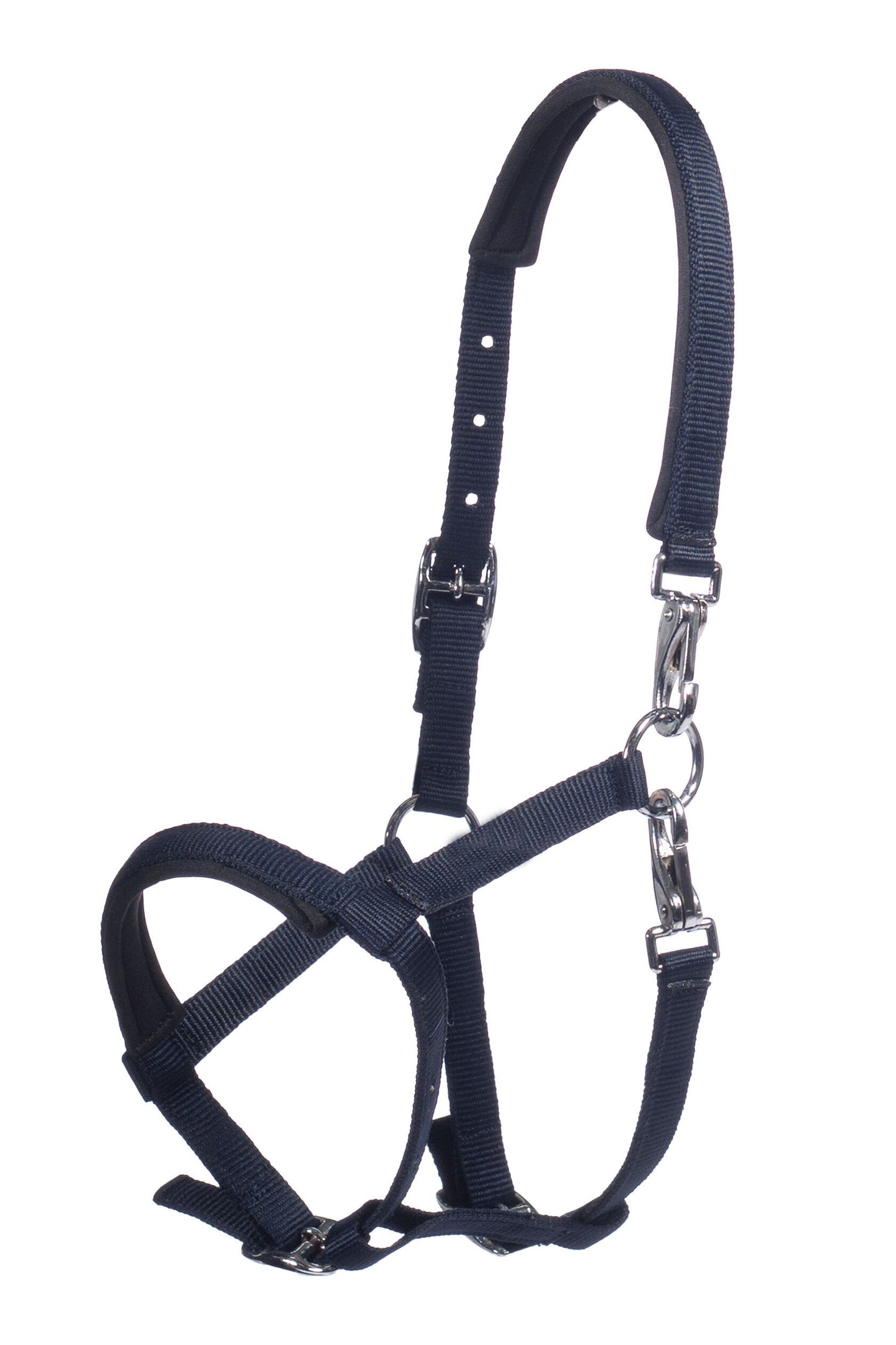 Licol poulain HKM Millie