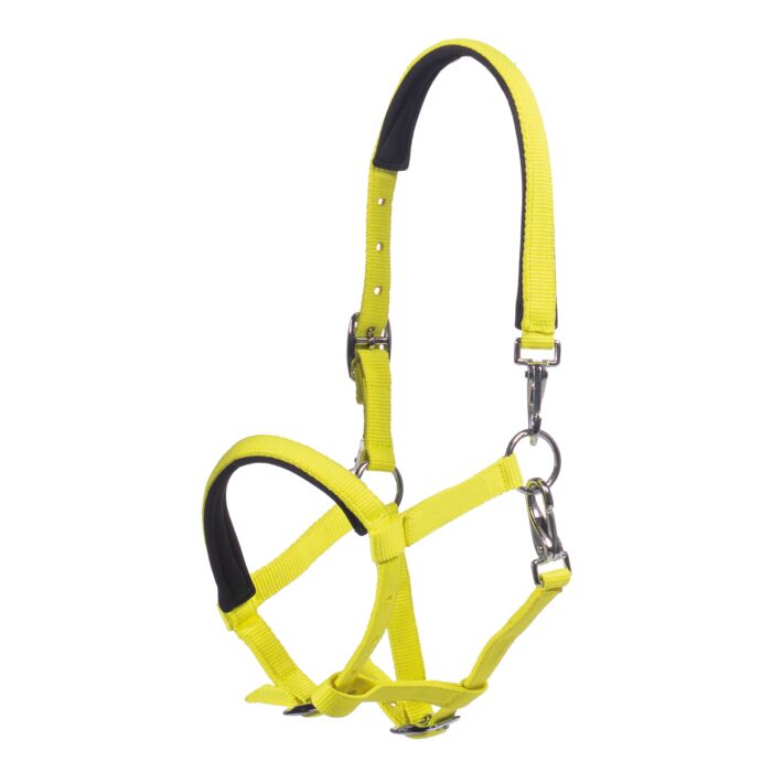 Licol poulain HKM Millie
