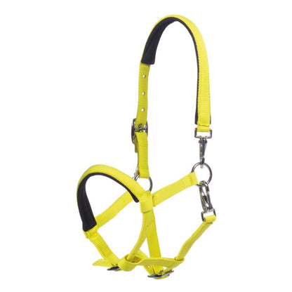 Licol poulain HKM Millie
