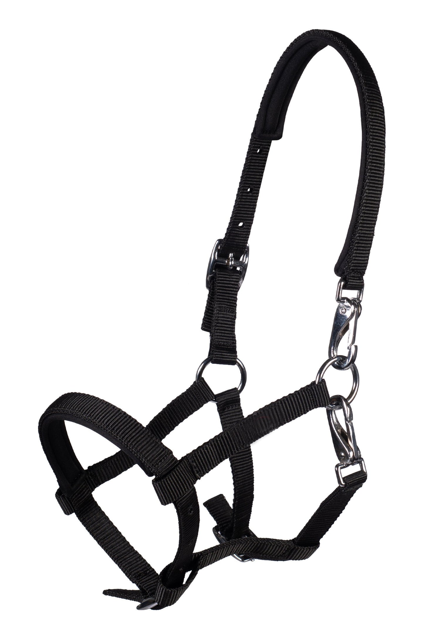 Licol poulain HKM Millie