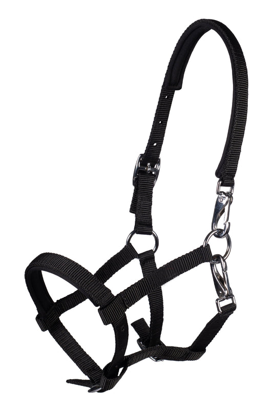 Licol poulain HKM Millie