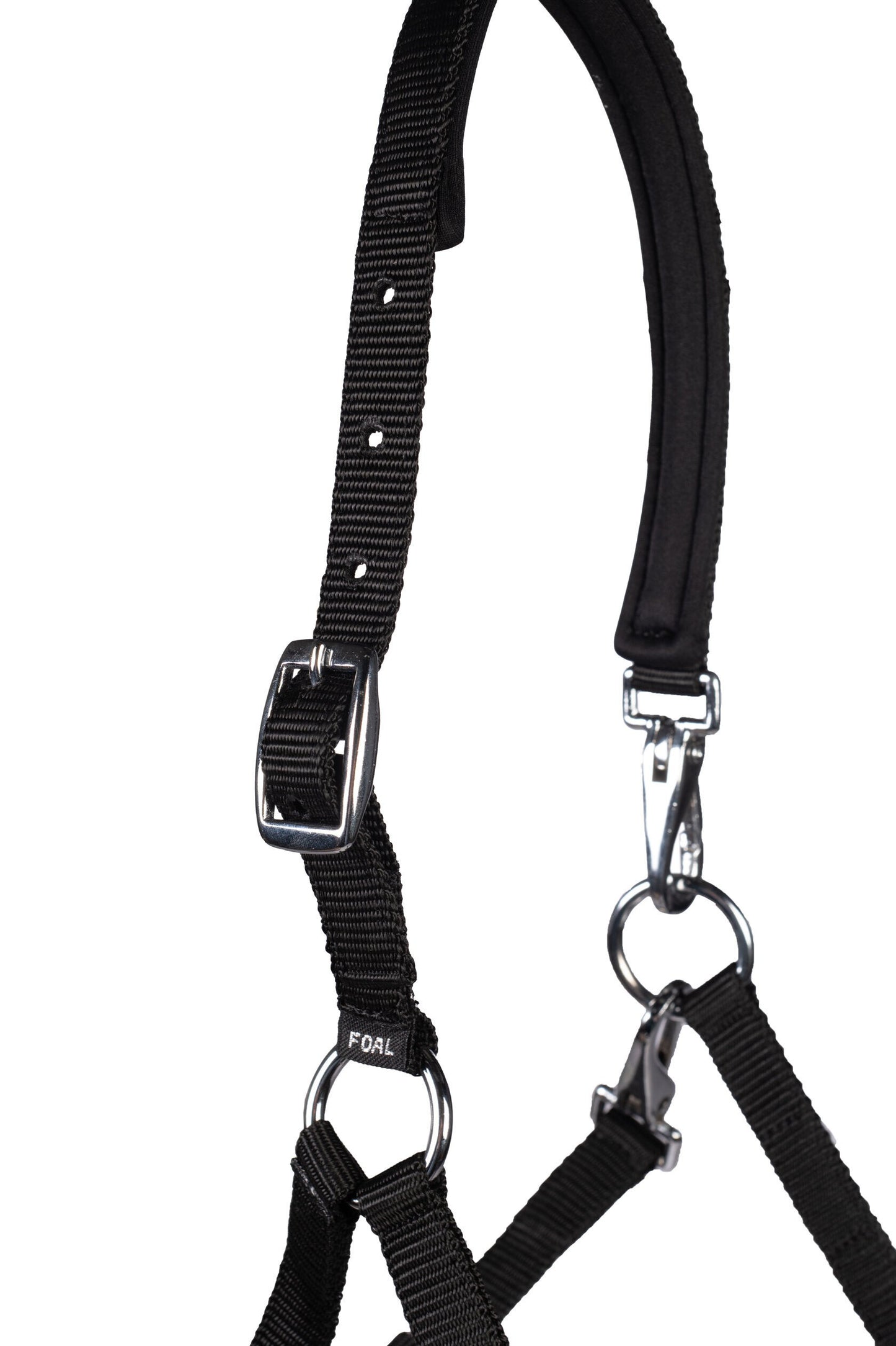 Licol poulain HKM Millie
