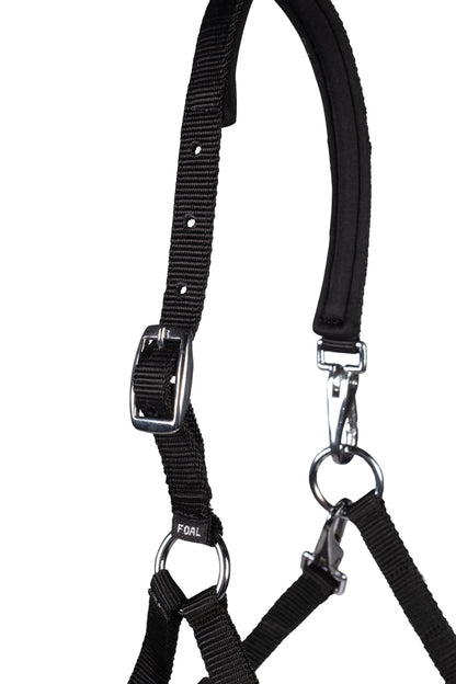 Licol poulain HKM Millie