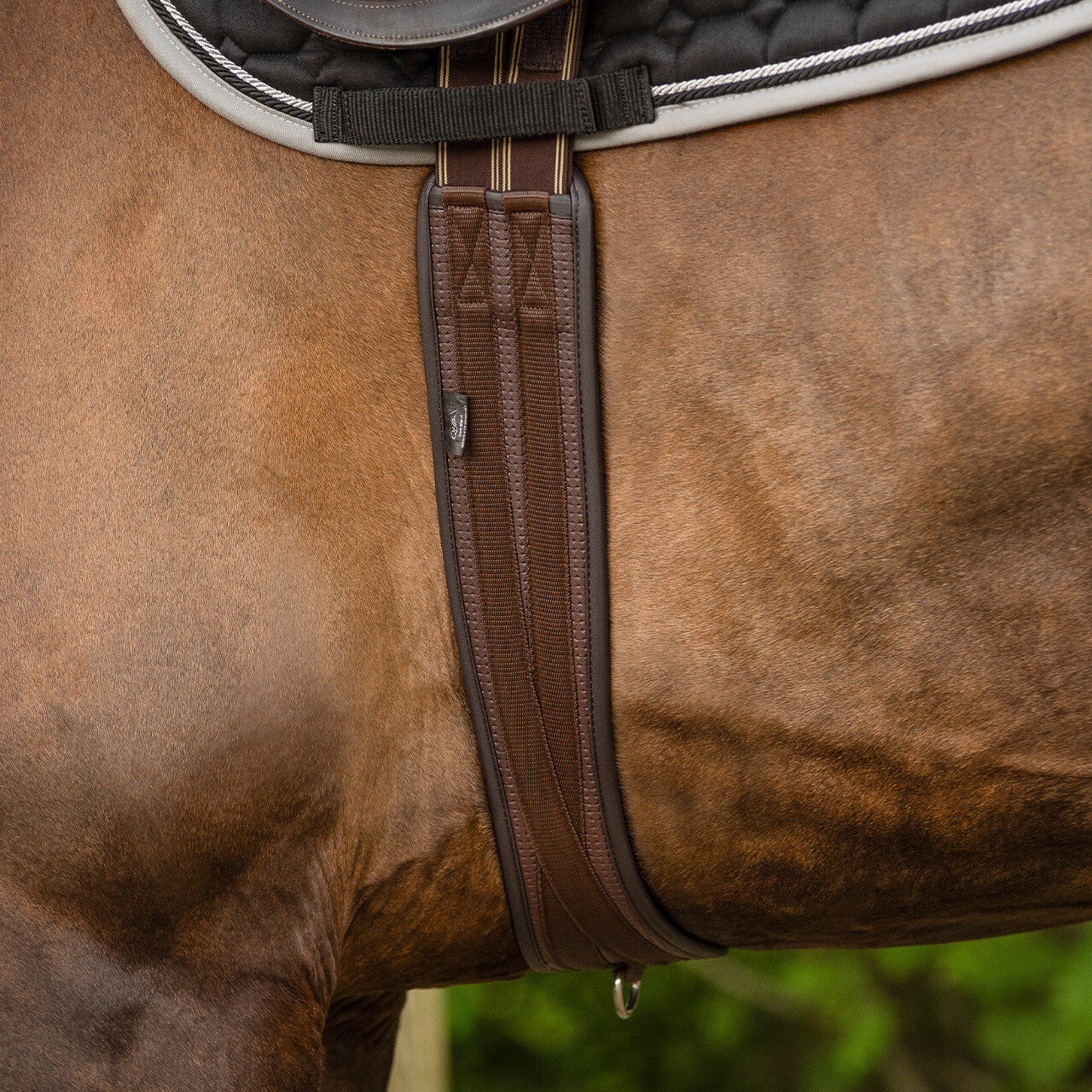 Sangle anatomique QHP Basic Pro