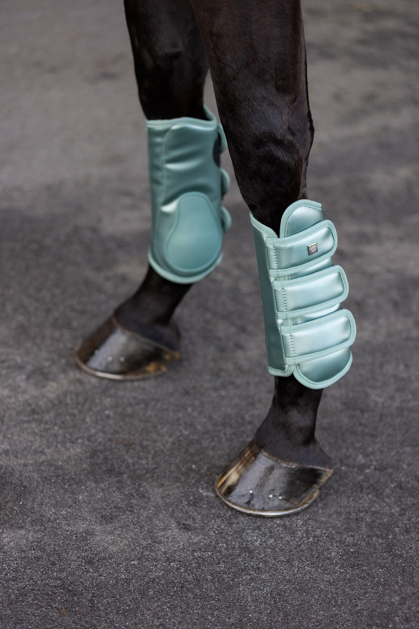 Guêtres de dressage Imperial Riding Lovely