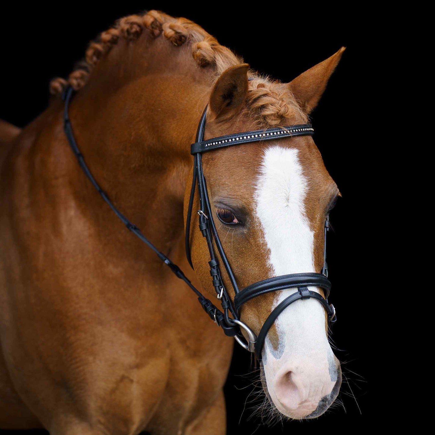 Bridon Imperial Riding Stormy Mini shetland/ Shetland