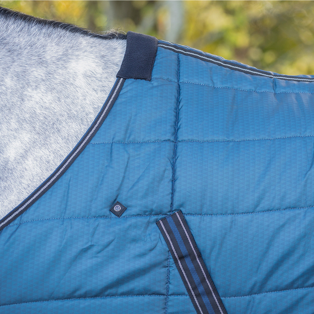 Couverture d'écurie QHP start collection 200gr