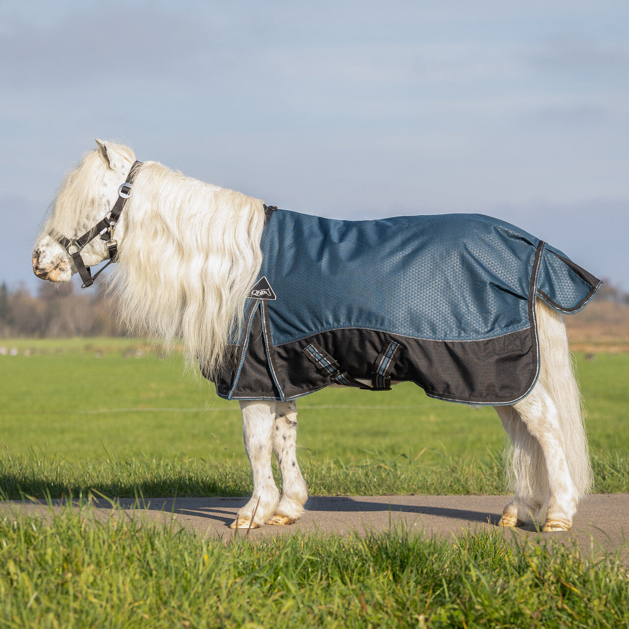 Couverture QHP turnout 1200D collection falabella 50gr