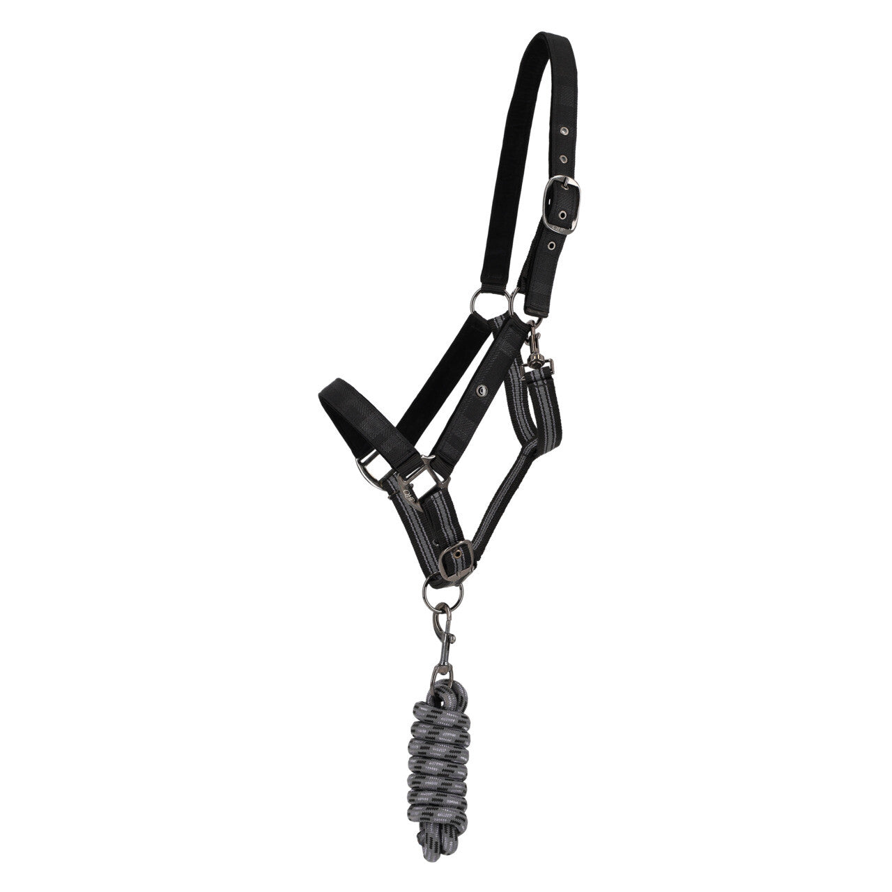 Duo licol et longe avec turnout QHP collection